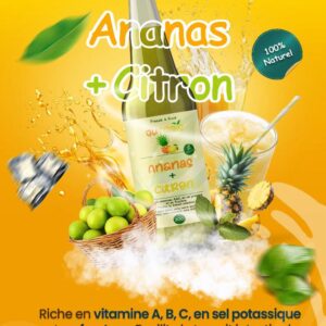 Ananas – Citron - Carton de 24 bouteilles 30cl