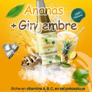 Ananas – Gingembre - Carton de 24 bouteilles 30cl